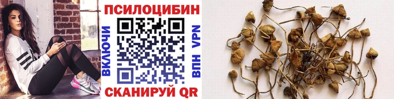 kraken ссылки Кызыл Псилоцибиновые грибы ЛСД
