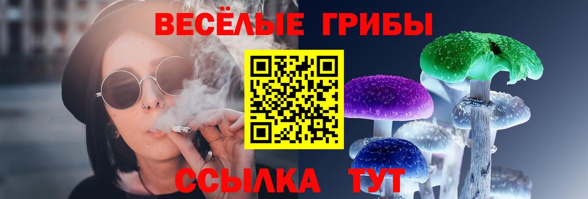Галлюциногенные грибы Magic Shrooms Кызыл